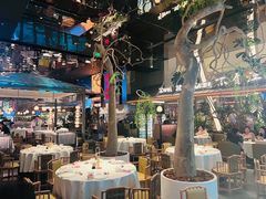 -桂满陇·海市蜃楼·黑金(国金店)