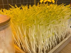 -好彩猪肚鸡(正弘城店)