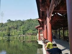 -重庆彩云湖湿地公园