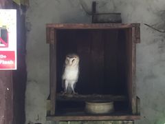 -吉隆坡雀鸟公园