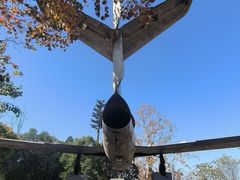 -商丘市人民公园