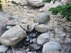 -崂山九水游览区