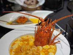 金汤龙虾海胆豆腐-小运河·公馆(国贸店)