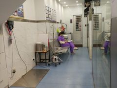 -伟伟宠物医院·CT影像中心·瑞派犬猫综合性门诊(汉口总院)