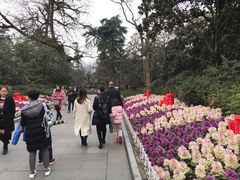 -西湖外事游船(花港观鱼码头)