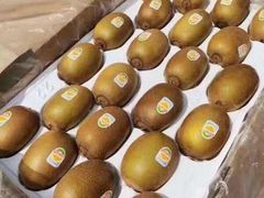 -上海龙吴水胜海发市场