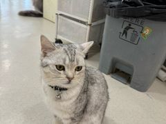 -共舞时光猫咖·狗咖(新街口店)