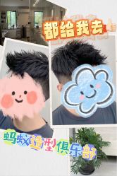 -蚂蚁造型俱乐部