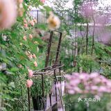 莫干山仙女必打卡💐莫奈的“秘密”花园