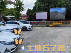-周浦花海-停车场