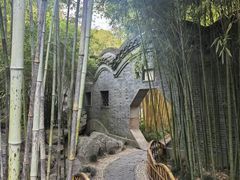 -梅园