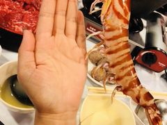 -鲜入围煮花胶鸡海鲜火锅