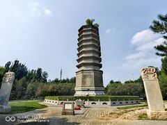-古塔公园