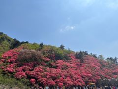 -木兰云雾山
