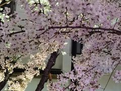-得意楼蒸菜馆