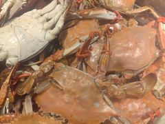 -川骄海鲜自助(河东店)