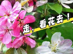 -北坞公园