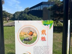 -同里国家湿地公园