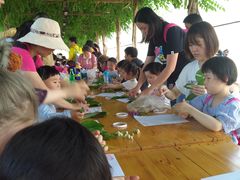 -前小桔亲子创意农场·草莓采摘·露营烧烤