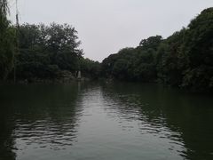 -老槐树煎包