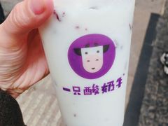 -一只酸奶牛(八一路店)