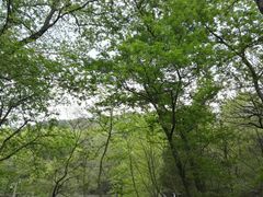-白马涧龙池景区