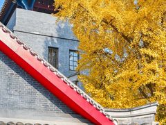 -四川大学(华西校区)