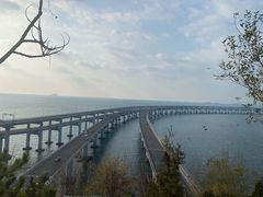 -星海湾跨海大桥