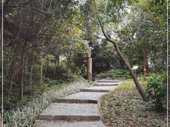 -梧桐山风景名胜区