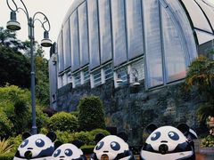 -石排湾郊野公园