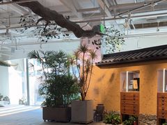 -大视光学•LINDBERG林德伯格•全球手工眼镜集合店(王府井店)