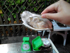 android_upload_pic-滨城串吧(三元桥店)