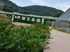 -普迪生态园