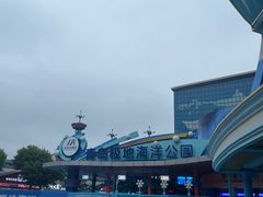 -海合安青岛极地海洋公园