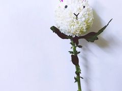 -双季花艺园艺市场(浦东店)