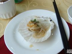 扇贝&nbsp;-海岛渔村大酒店(云霄路店)