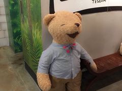 -济州岛泰迪熊博物馆