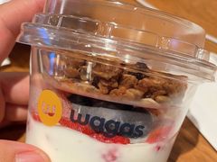 -Wagas沃歌斯(汇智店)