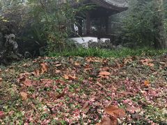 -西湖风景区十里琅珰-五云山