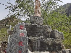 -大岭沟猕猴桃谷风景区
