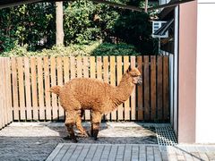 -太阳岛度假酒店