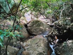 -马峦山郊野公园