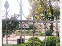 -嘉定紫藤园