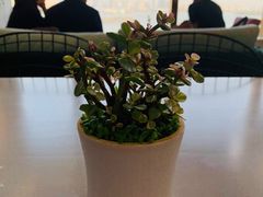 -洄归山也·高空C位湖景下午茶(东方之门店)