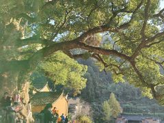 -杨家堂村
