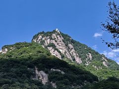 -陕西省红河谷森林公园