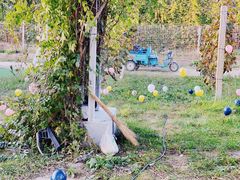 -安德鲁户外烧烤帐篷营地(马泉营店)