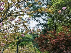 -八大山人梅湖景区