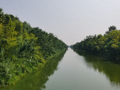 -黄海国家森林公园