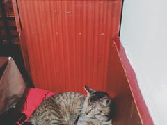 -洪齐林老镇